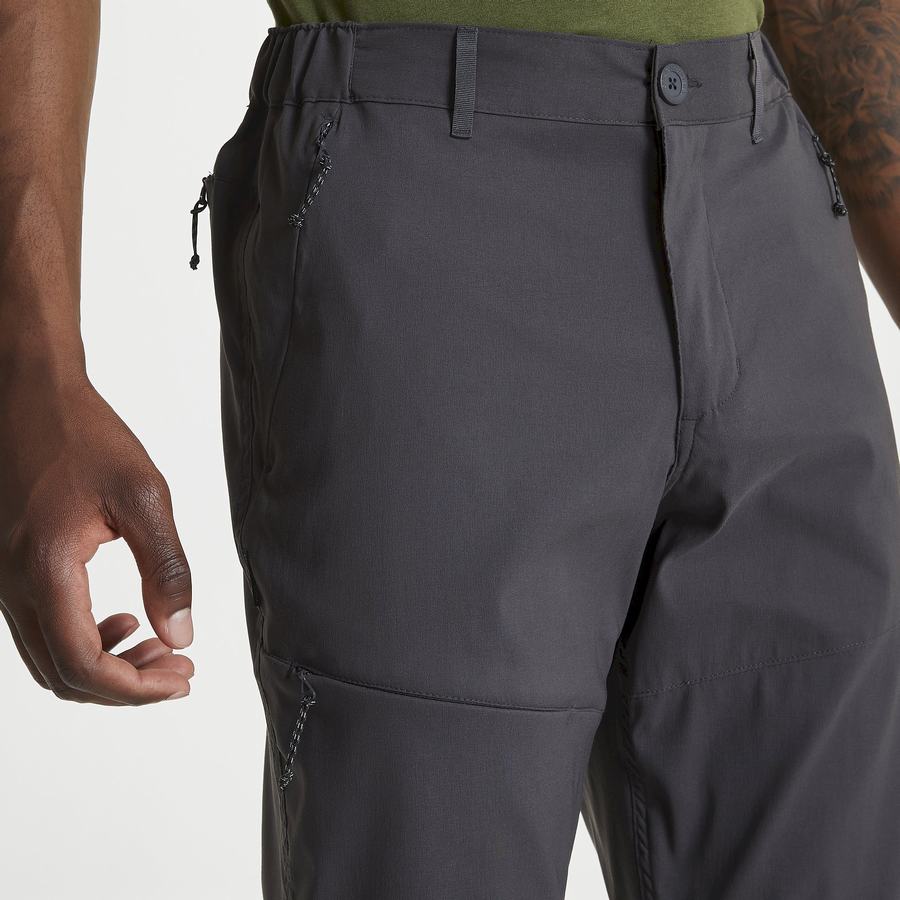 Men's Craghoppers Kiwi Pro II Trousers Grey | HHK581IU