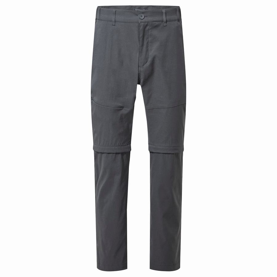 Men's Craghoppers Kiwi Pro II Trousers Grey | HHK581IU