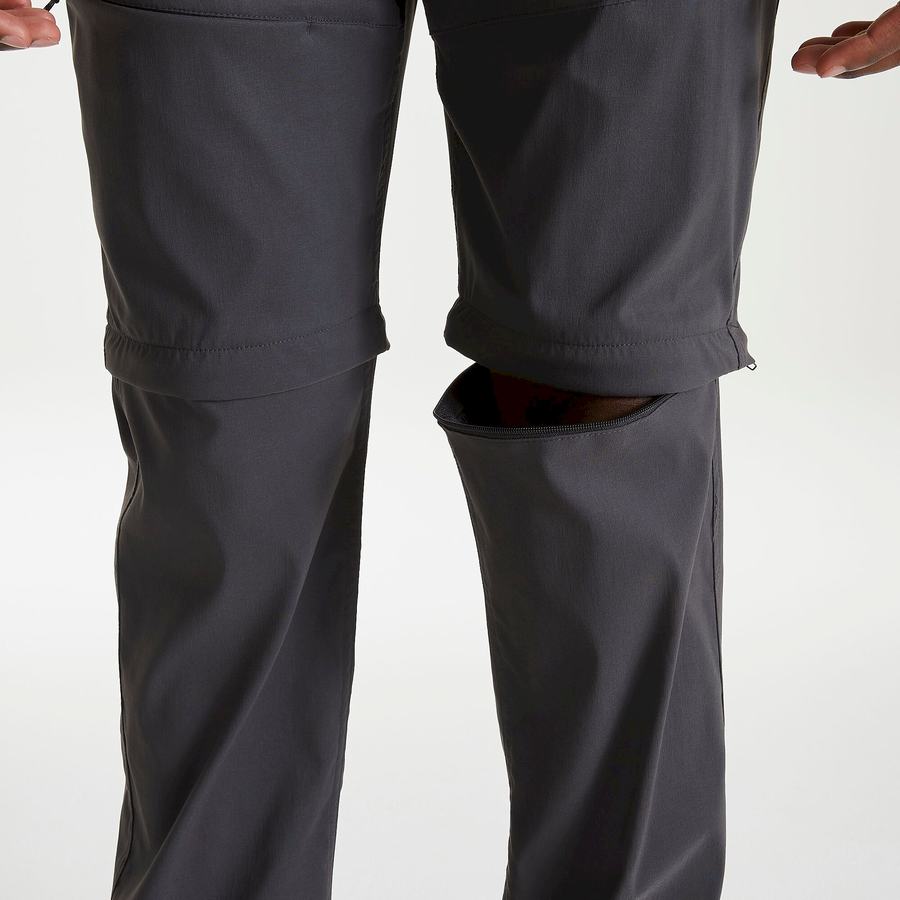 Men's Craghoppers Kiwi Pro II Trousers Grey | HHK581IU