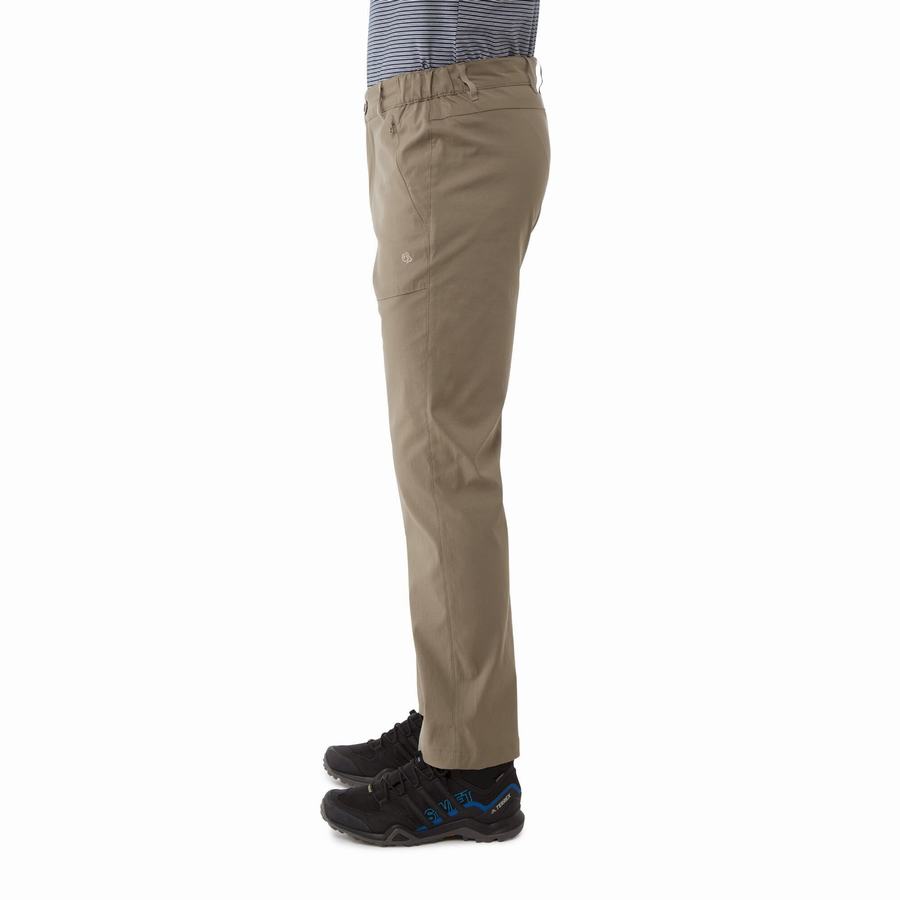 Men's Craghoppers Kiwi Pro II Trousers Khaki | KBP4770KU