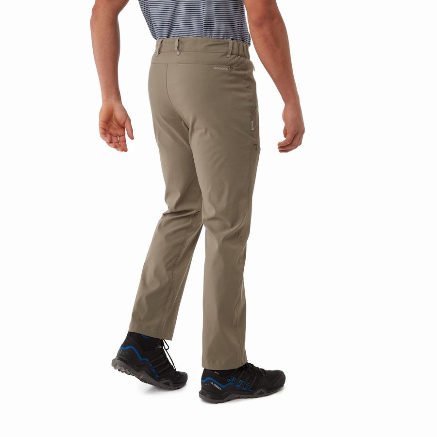 Men's Craghoppers Kiwi Pro II Trousers Khaki | KBP4770KU