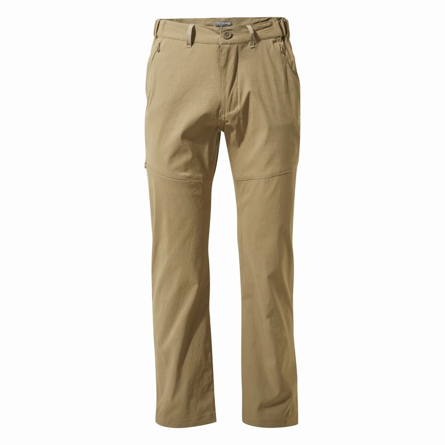 Men's Craghoppers Kiwi Pro II Trousers Khaki | KBP4770KU