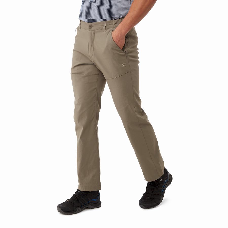 Men\'s Craghoppers Kiwi Pro II Trousers Khaki | KBP4770KU