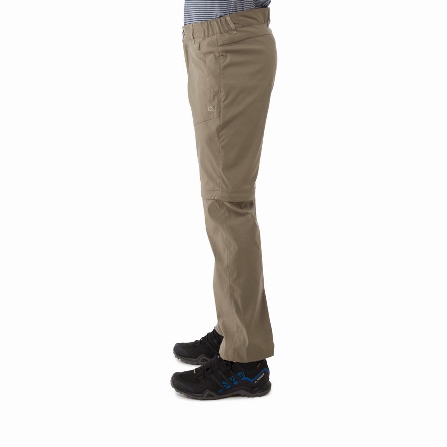 Men's Craghoppers Kiwi Pro II Trousers Khaki | NAE3083QV