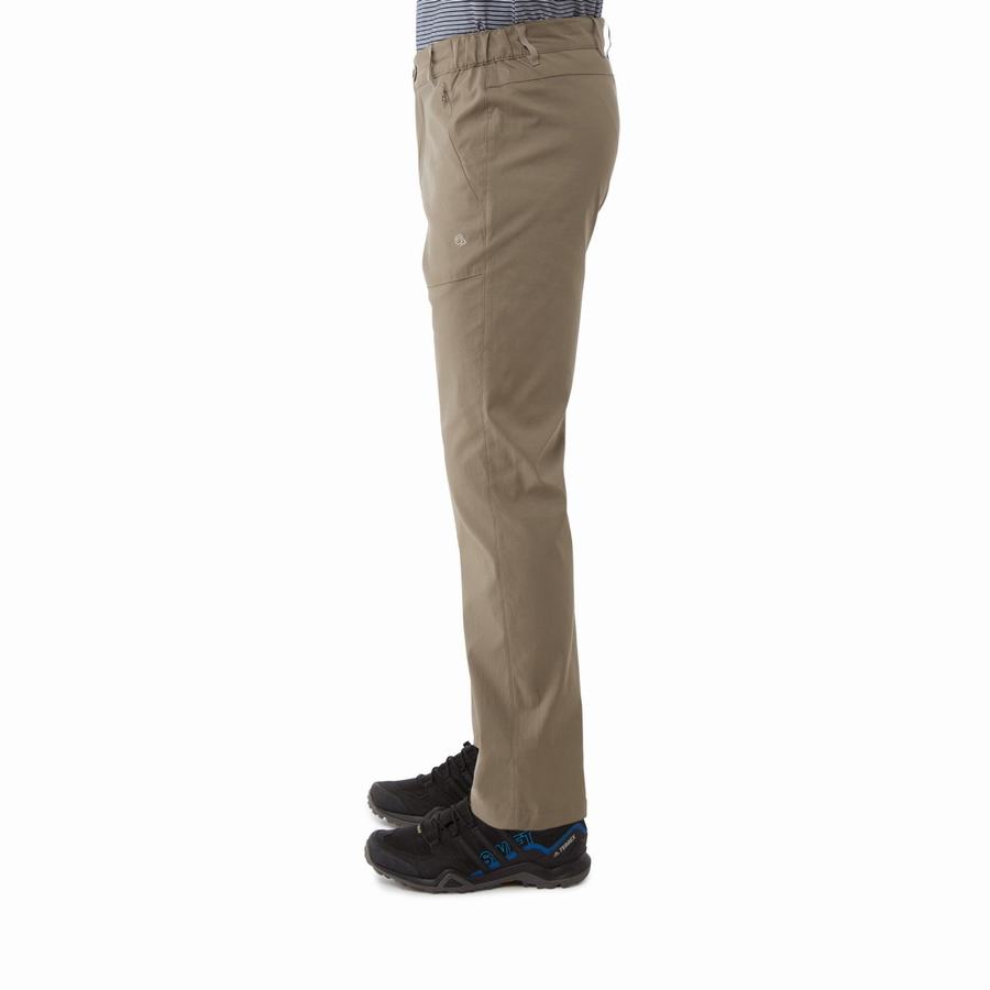 Men's Craghoppers Kiwi Pro II Trousers Khaki | SJQ4377IE