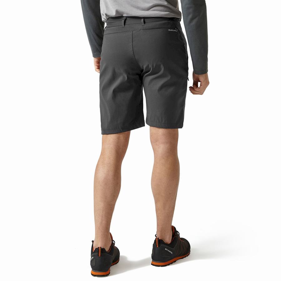 Men's Craghoppers Kiwi Pro Shorts Dark Grey | WIX7582PD