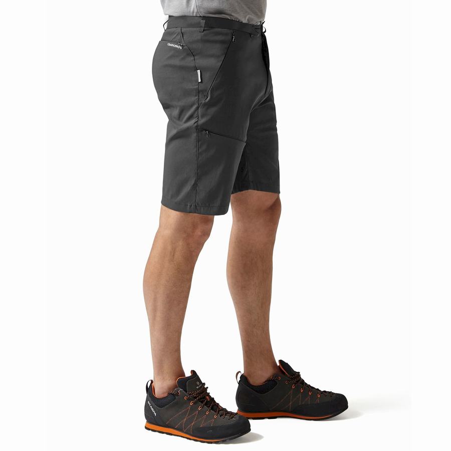 Men's Craghoppers Kiwi Pro Shorts Dark Grey | WIX7582PD