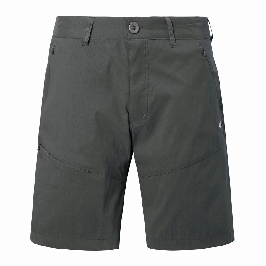 Men's Craghoppers Kiwi Pro Shorts Dark Grey | WIX7582PD