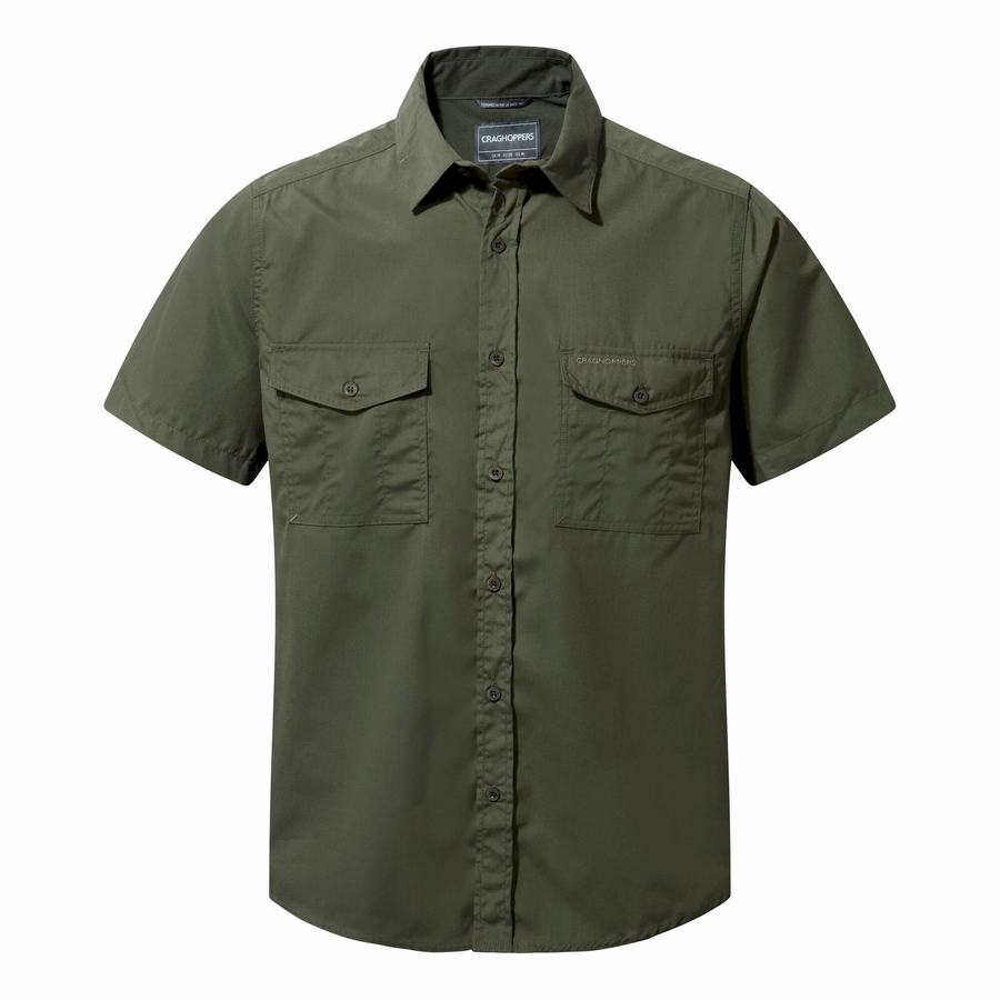 Men's Craghoppers Kiwi Short Sleeved Shirts Deep Green | ALW4587JV