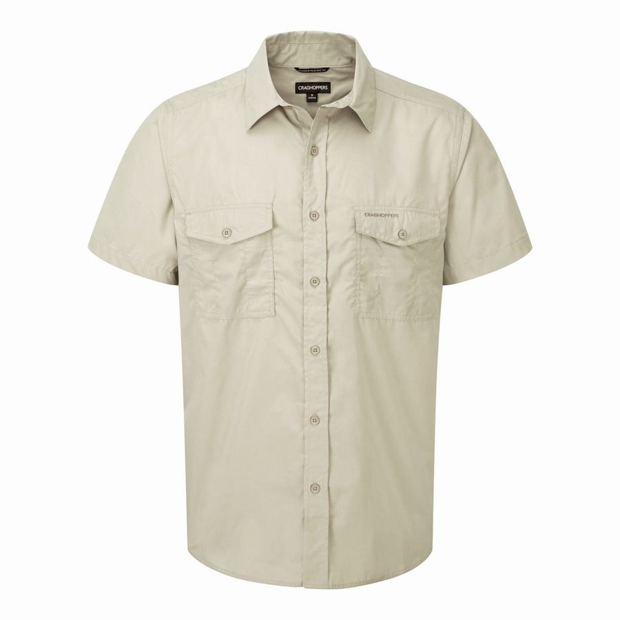 Men's Craghoppers Kiwi Short Sleeved Shirts Beige | HPX1431TZ