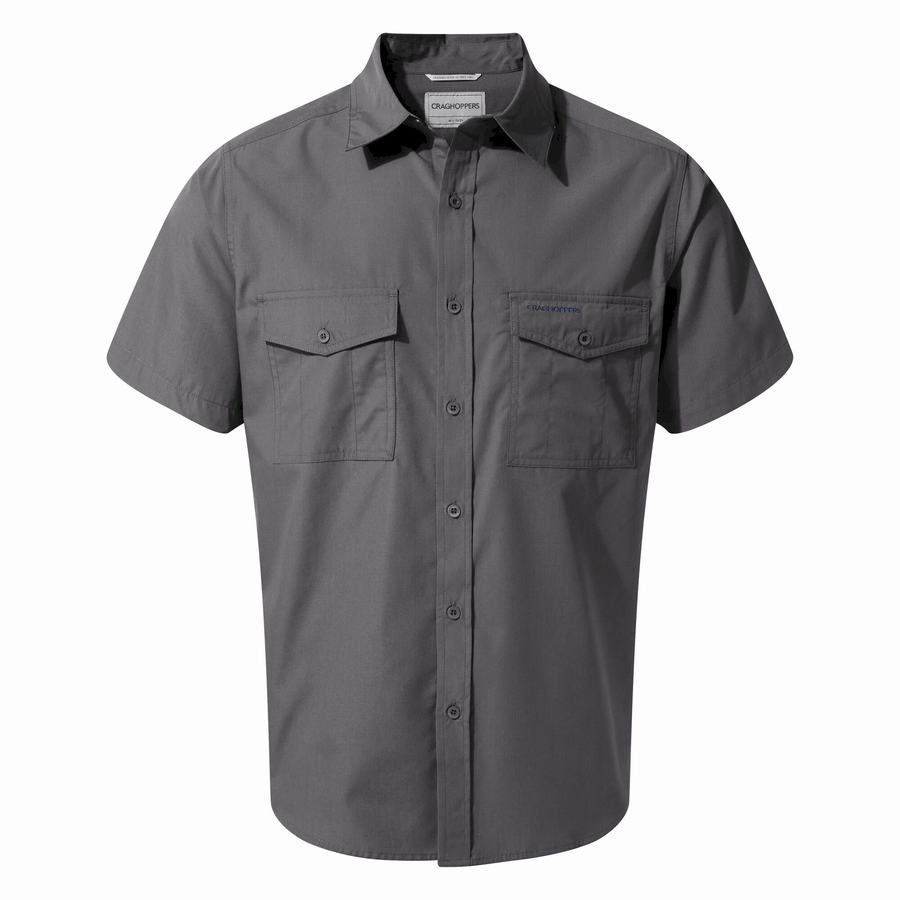 Men's Craghoppers Kiwi Short Sleeved Shirts Blue | YMA1188IF