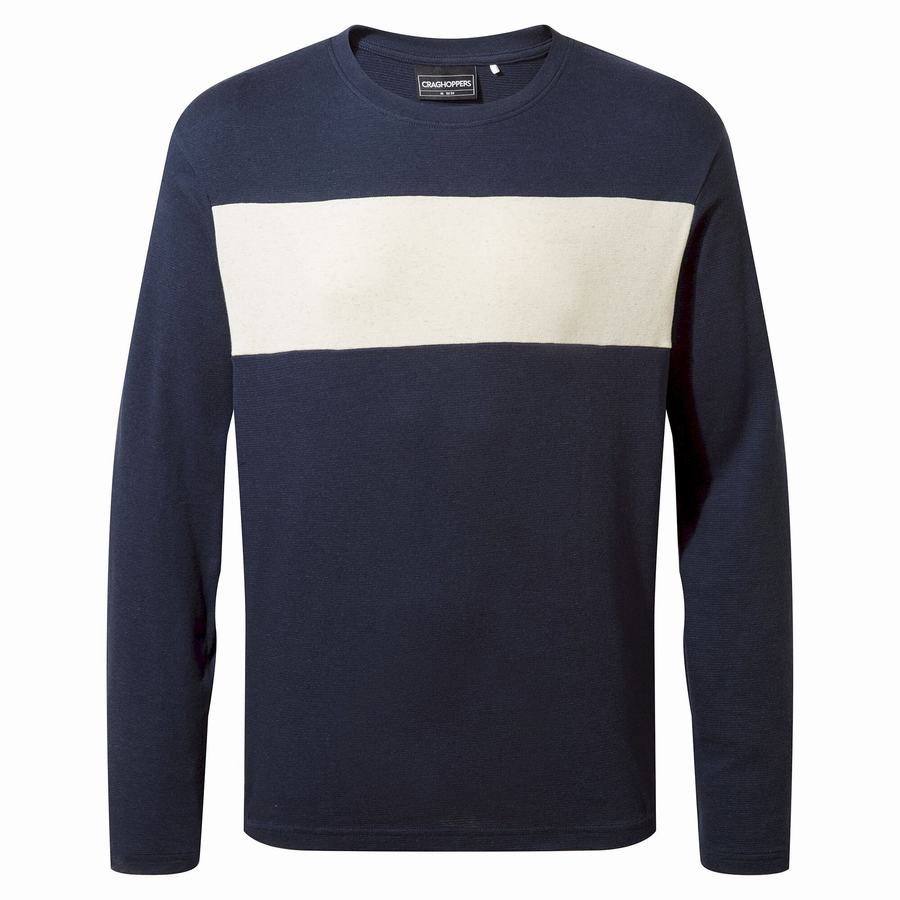 Men's Craghoppers Latherton Long Sleeved T-Shirts Blue Navy Stripes | BIL8892TR