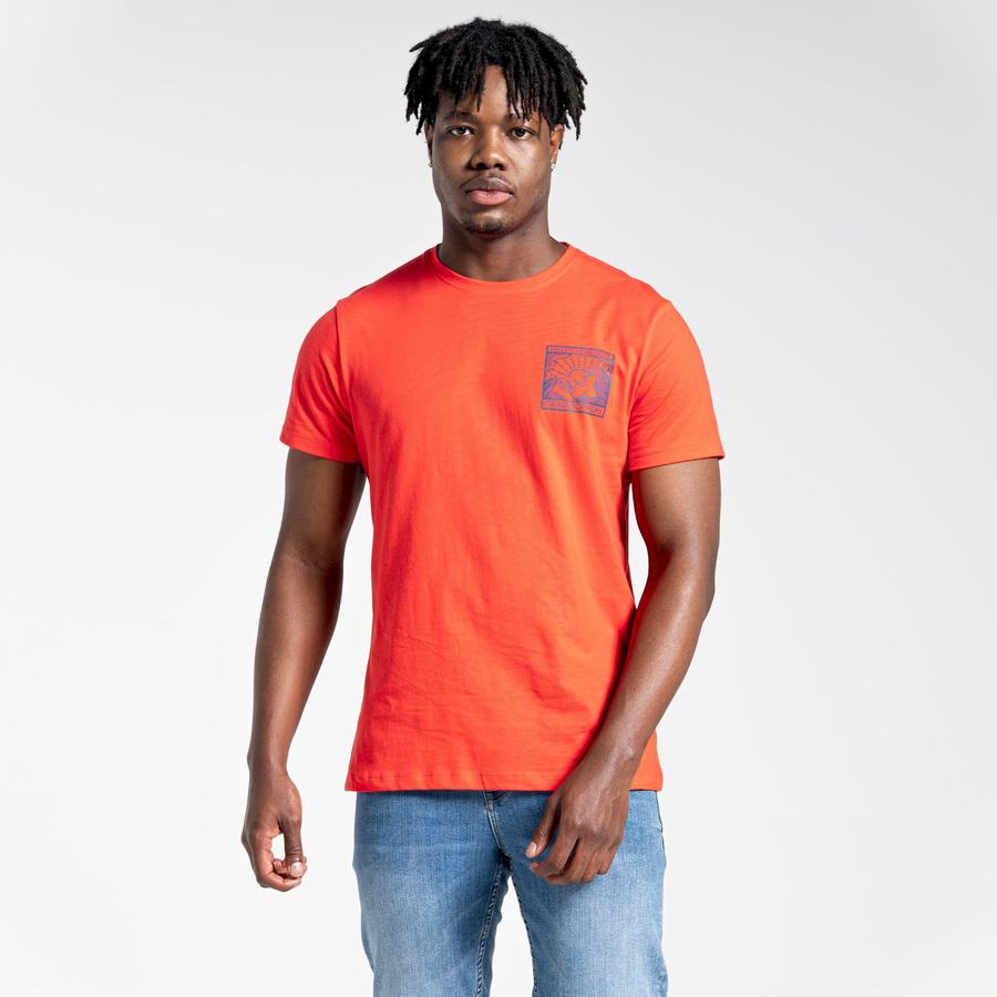 Men's Craghoppers Lugo Short Sleeved T-Shirts Orange Red | CPD446UO