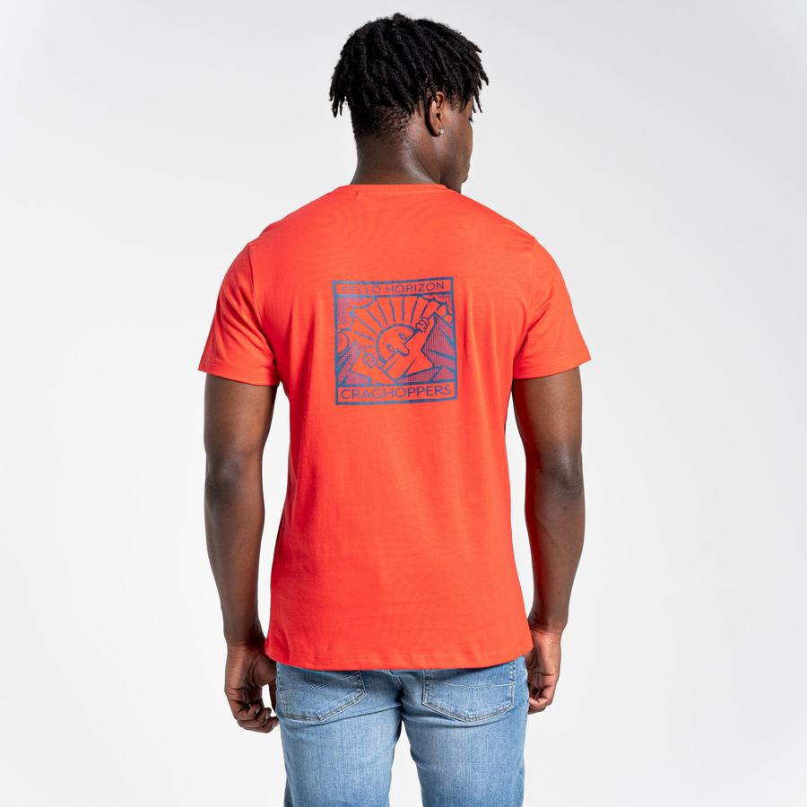 Men's Craghoppers Lugo Short Sleeved T-Shirts Orange Red | CPD446UO