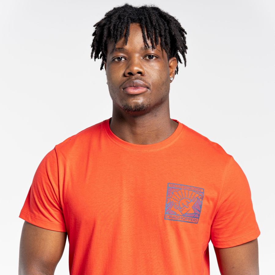 Men's Craghoppers Lugo Short Sleeved T-Shirts Orange Red | CPD446UO