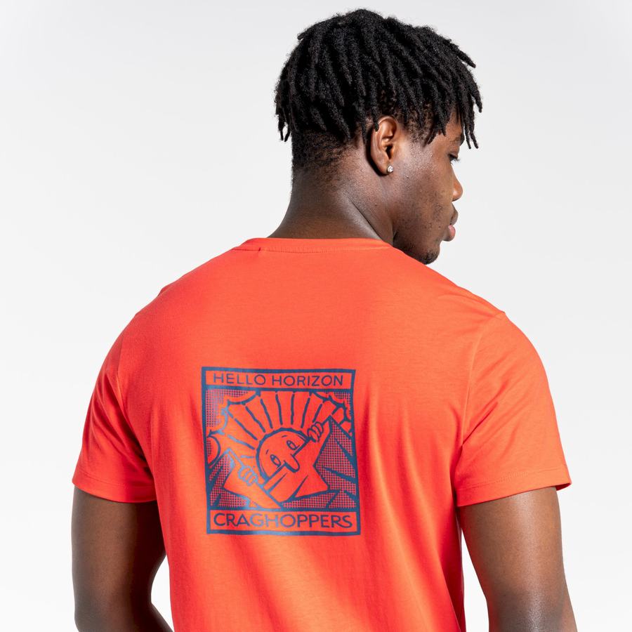 Men's Craghoppers Lugo Short Sleeved T-Shirts Orange Red | CPD446UO