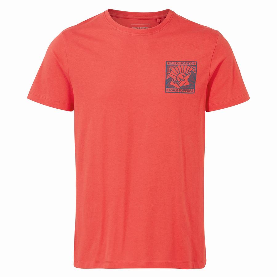 Men's Craghoppers Lugo Short Sleeved T-Shirts Orange Red | CPD446UO