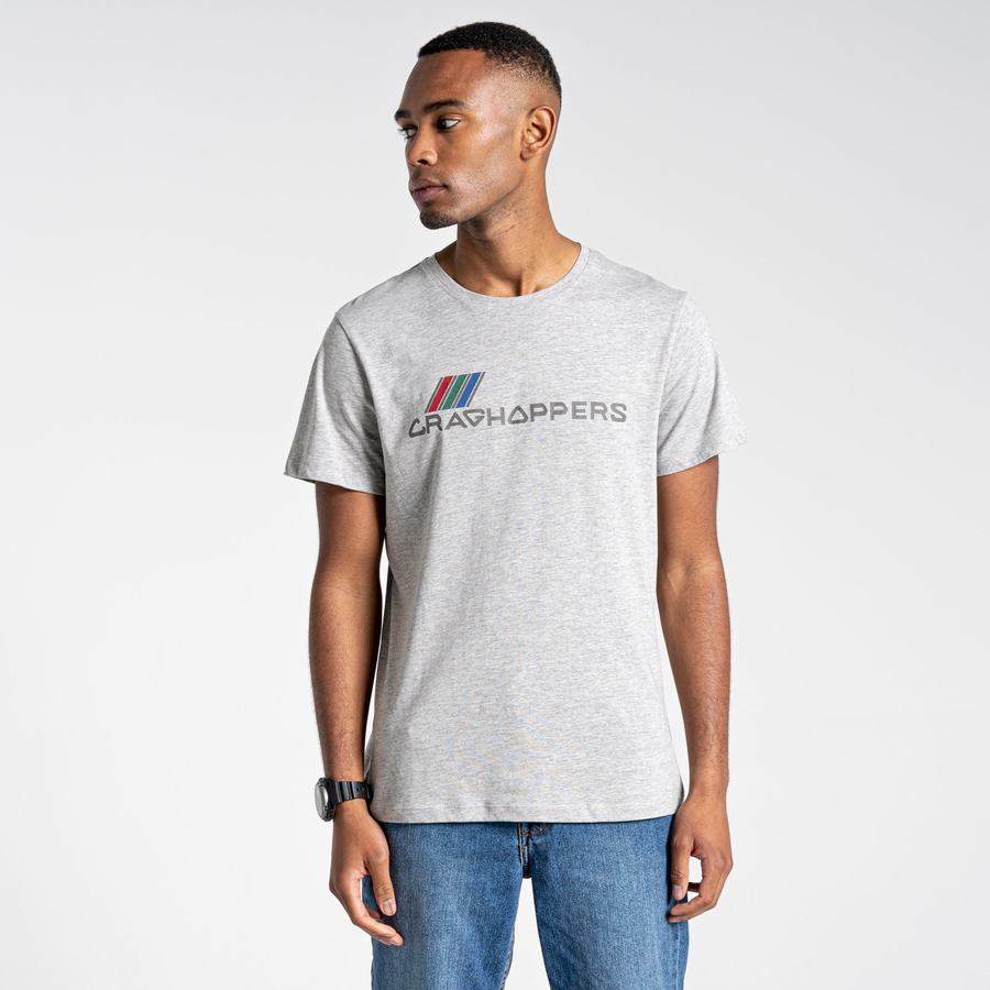 Men's Craghoppers Lugo Short Sleeved T-Shirts Grey | JCR5739US