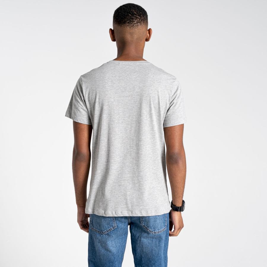 Men's Craghoppers Lugo Short Sleeved T-Shirts Grey | JCR5739US