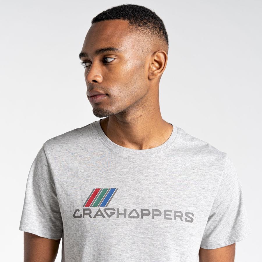 Men's Craghoppers Lugo Short Sleeved T-Shirts Grey | JCR5739US