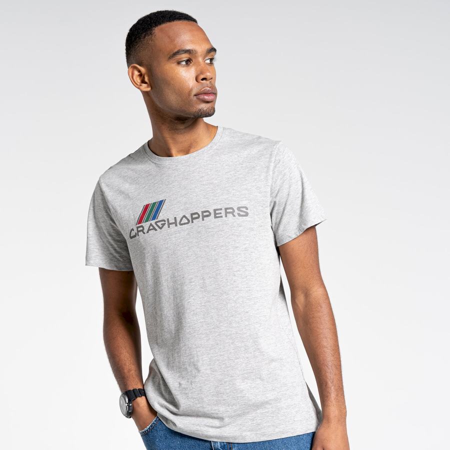 Men's Craghoppers Lugo Short Sleeved T-Shirts Grey | JCR5739US