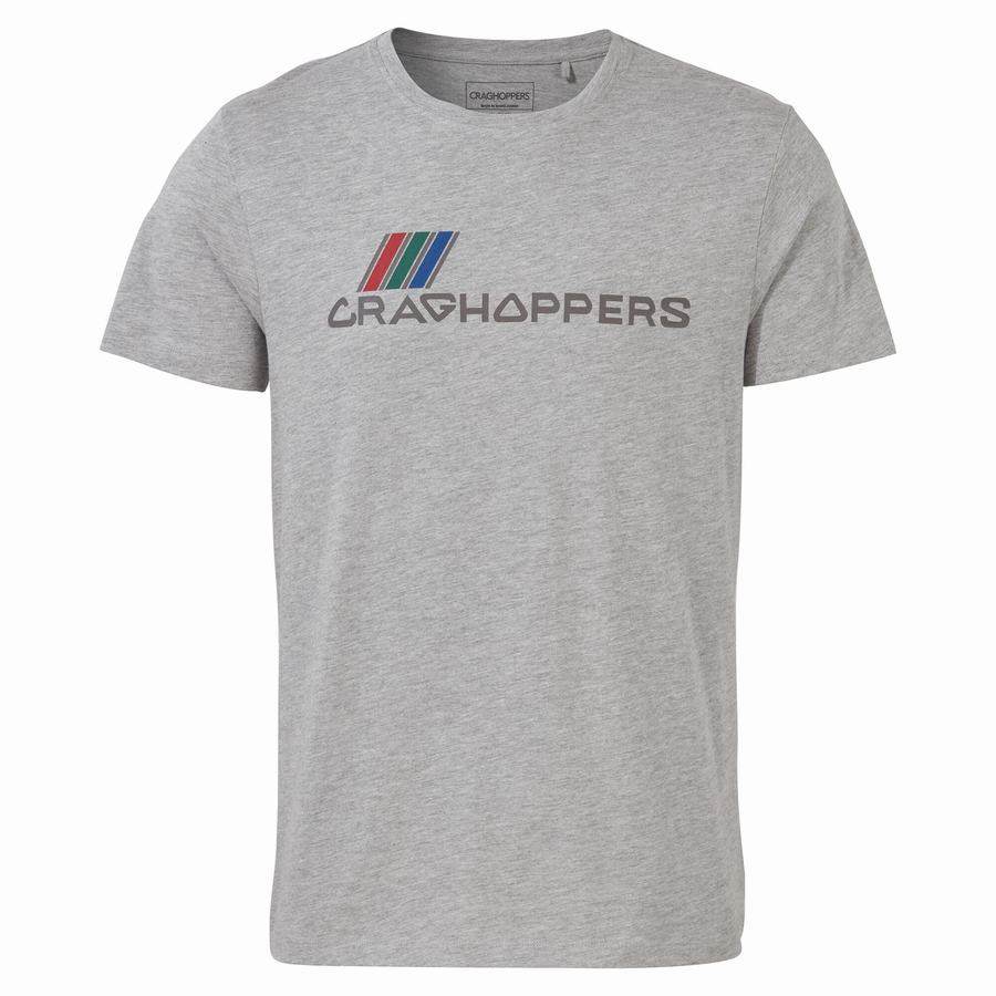 Men\'s Craghoppers Lugo Short Sleeved T-Shirts Grey | JCR5739US