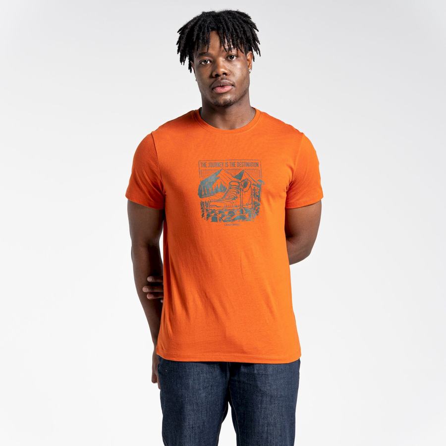 Men's Craghoppers Lugo Short Sleeved T-Shirts Orange | RKO7027RS