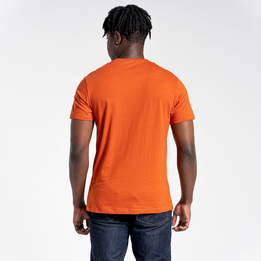 Men's Craghoppers Lugo Short Sleeved T-Shirts Orange | RKO7027RS