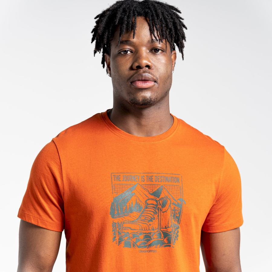 Men's Craghoppers Lugo Short Sleeved T-Shirts Orange | RKO7027RS