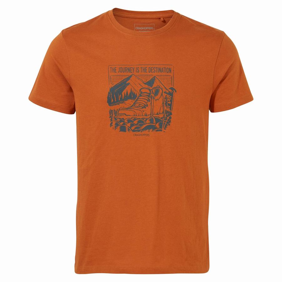 Men's Craghoppers Lugo Short Sleeved T-Shirts Orange | RKO7027RS