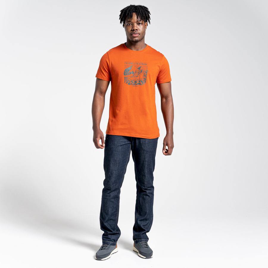 Men's Craghoppers Lugo Short Sleeved T-Shirts Orange | RKO7027RS