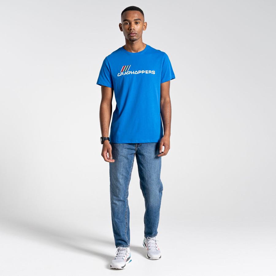 Men's Craghoppers Lugo Short Sleeved T-Shirts Blue | TYX531ZM