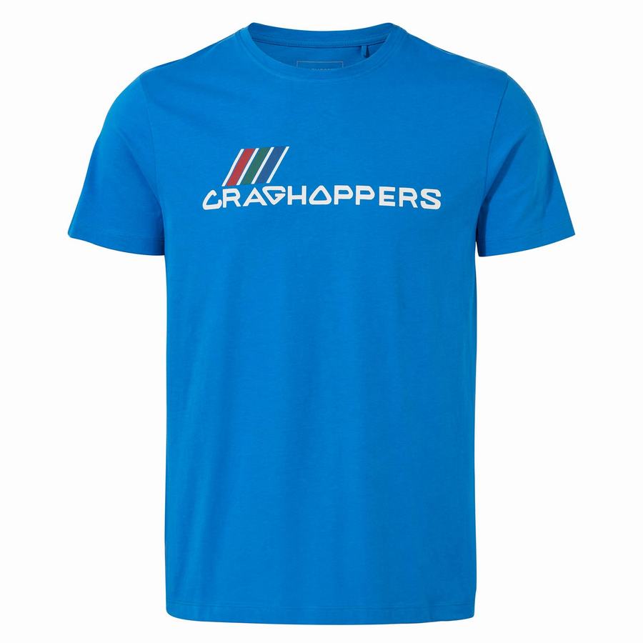 Men's Craghoppers Lugo Short Sleeved T-Shirts Blue | TYX531ZM