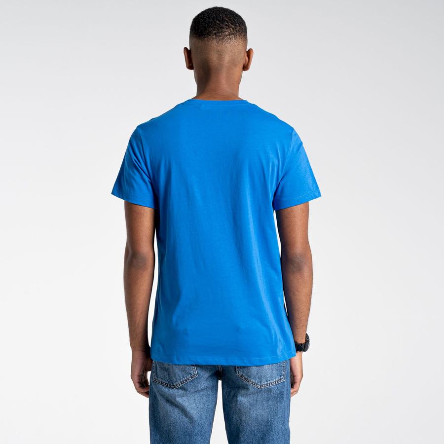 Men's Craghoppers Lugo Short Sleeved T-Shirts Blue | TYX531ZM