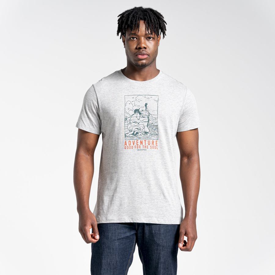 Men's Craghoppers Lugo Short Sleeved T-Shirts Grey | UZH5276UB