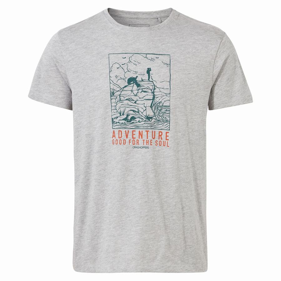 Men's Craghoppers Lugo Short Sleeved T-Shirts Grey | UZH5276UB