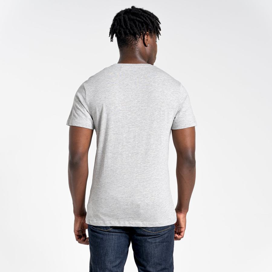 Men's Craghoppers Lugo Short Sleeved T-Shirts Grey | VGI9219ZH