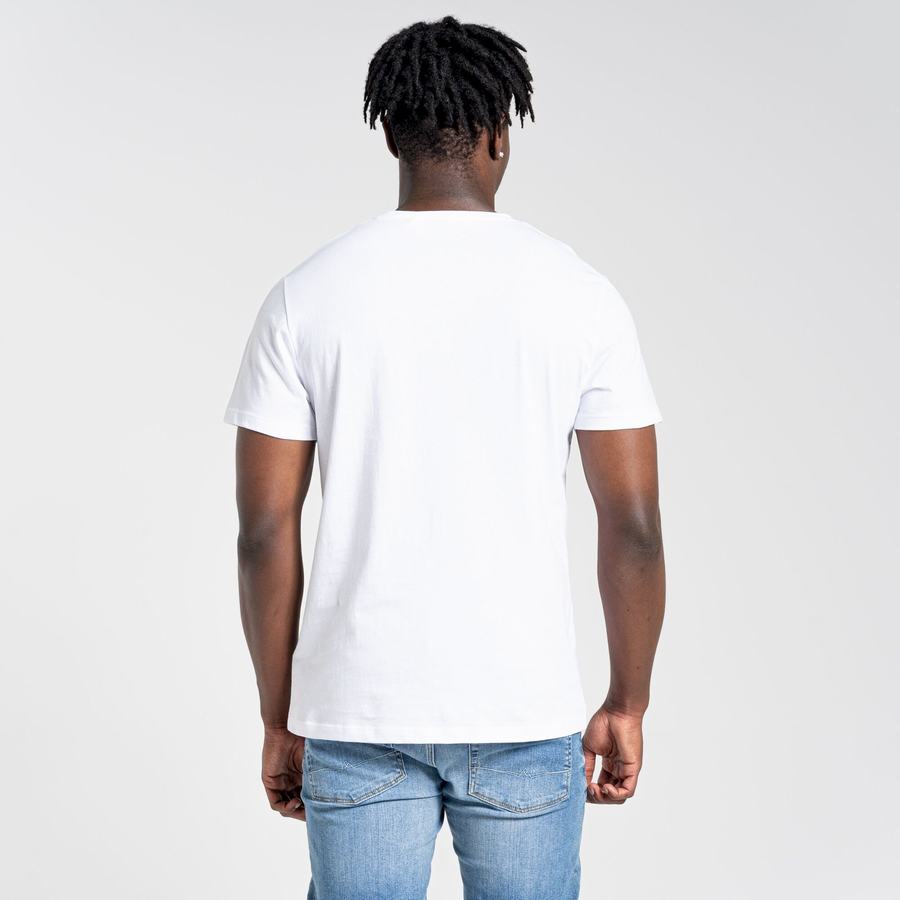 Men's Craghoppers Lugo Short Sleeved T-Shirts White | XZP4112GT