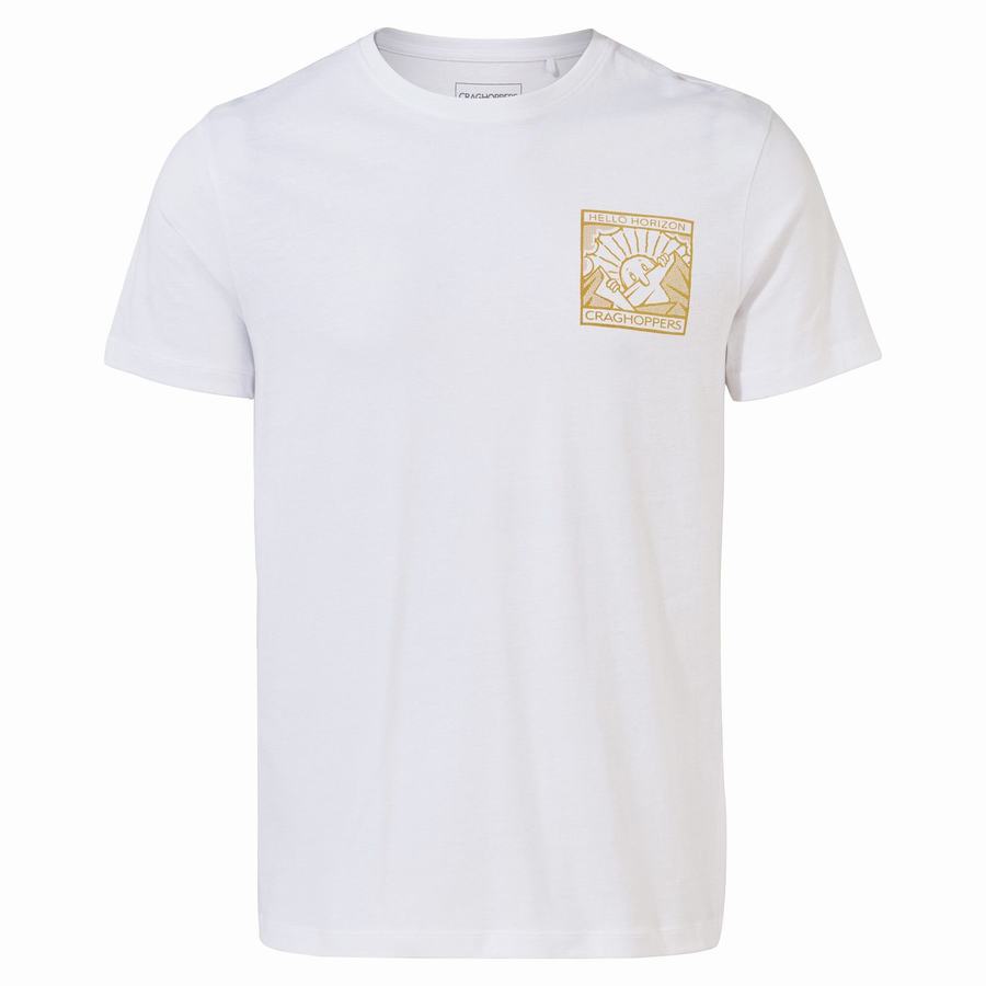 Men's Craghoppers Lugo Short Sleeved T-Shirts White | ZDD1991WZ