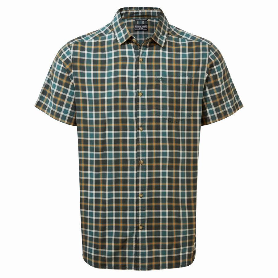 Men\'s Craghoppers Menlo Short Sleeved Shirts Green | MGF2075UV