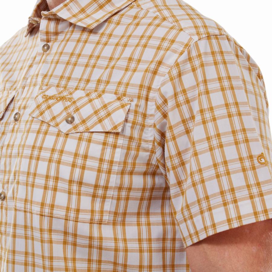 Men's Craghoppers Murray Short Sleeved Shirts Multicolor | EUA5153JM