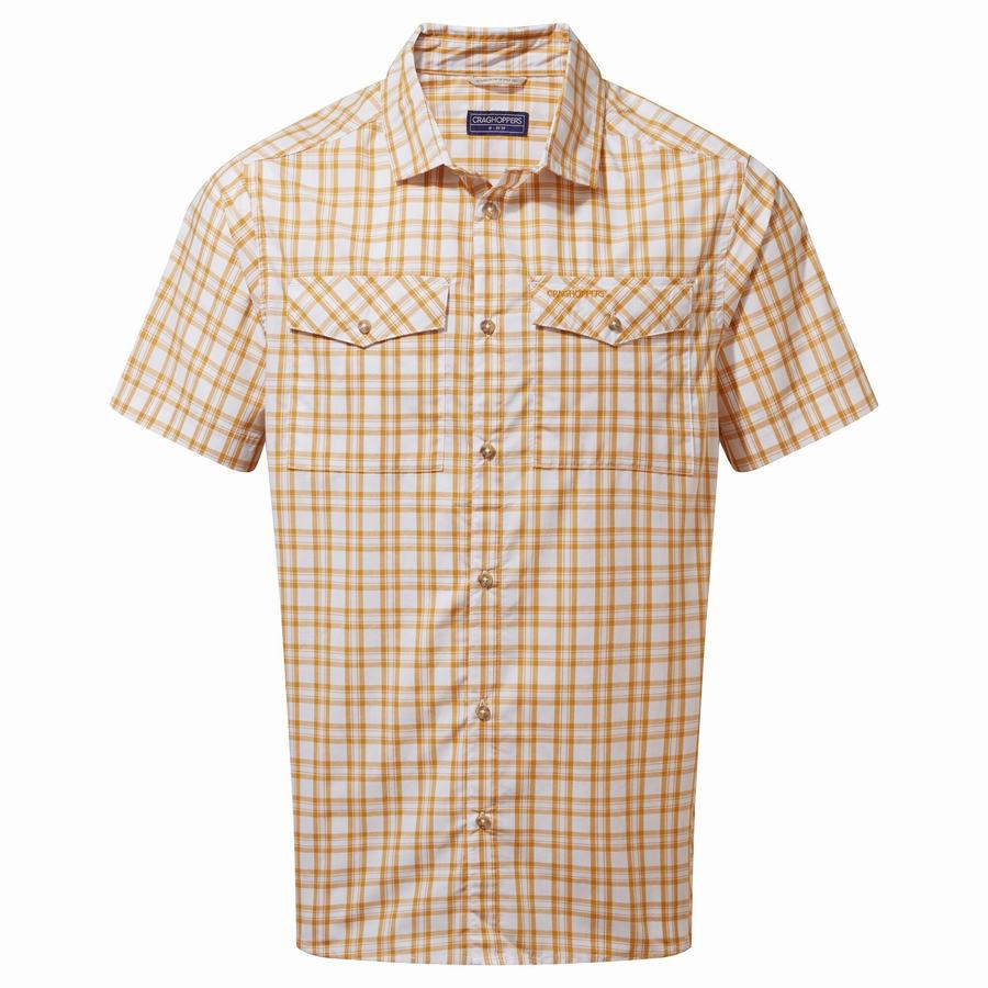 Men's Craghoppers Murray Short Sleeved Shirts Multicolor | EUA5153JM