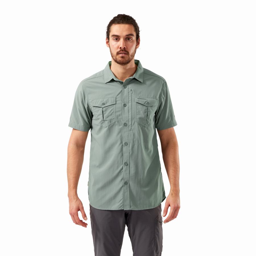 Men's Craghoppers NosiLife Adventure II Short Sleeved Shirts Olive | TXX6524IQ