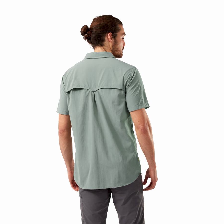 Men's Craghoppers NosiLife Adventure II Short Sleeved Shirts Olive | TXX6524IQ