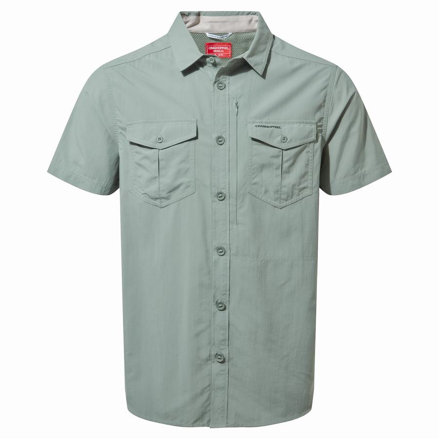 Men's Craghoppers NosiLife Adventure II Short Sleeved Shirts Olive | TXX6524IQ