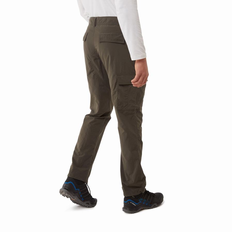 Men's Craghoppers NosiLife Branco Trousers Green | EKR1870WK