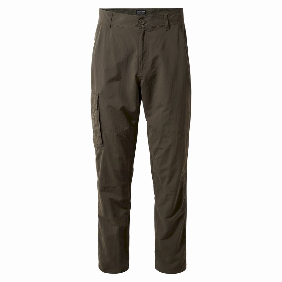 Men's Craghoppers NosiLife Branco Trousers Green | EKR1870WK