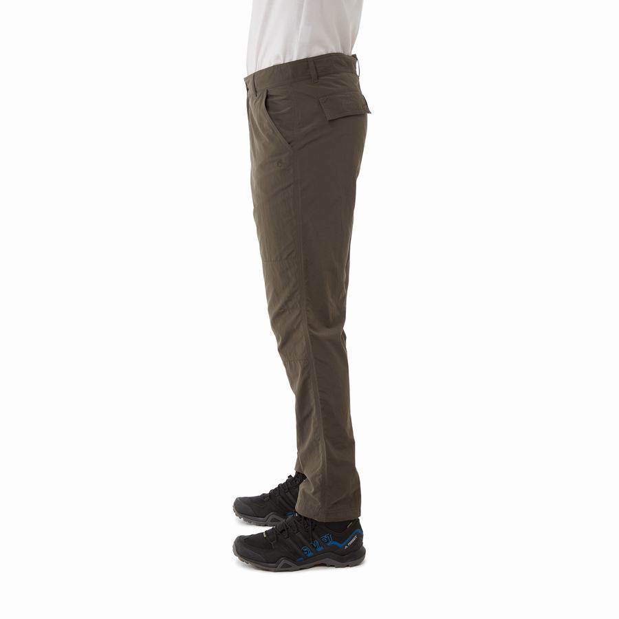 Men's Craghoppers NosiLife Branco Trousers Green | EKR1870WK