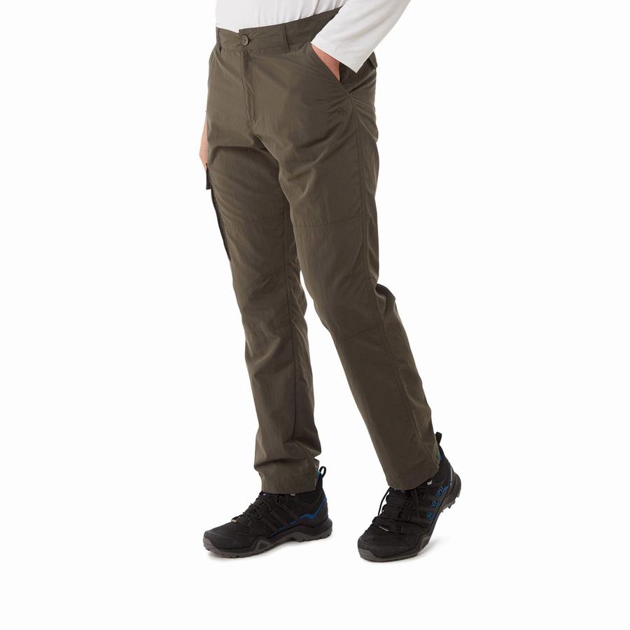 Men\'s Craghoppers NosiLife Branco Trousers Green | EKR1870WK