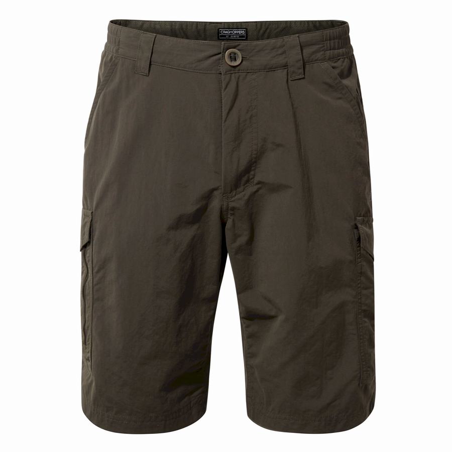 Men's Craghoppers NosiLife Cargo II Shorts Green | WEP5548CH